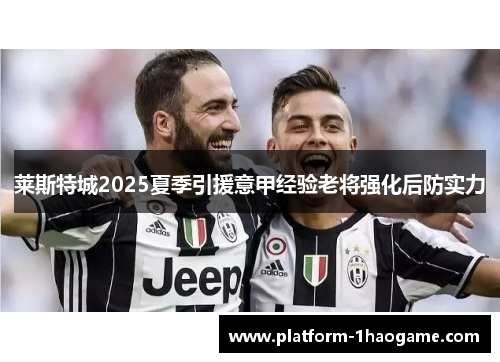 莱斯特城2025夏季引援意甲经验老将强化后防实力